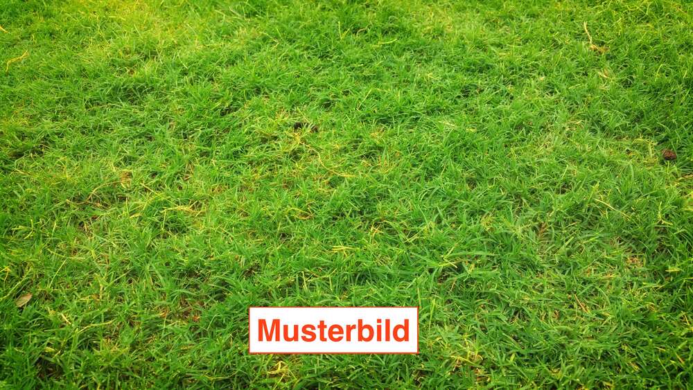 Grundstück Seeheim-Jugenheim Jugenheim - 559.000&euro; | Angebot:25602855