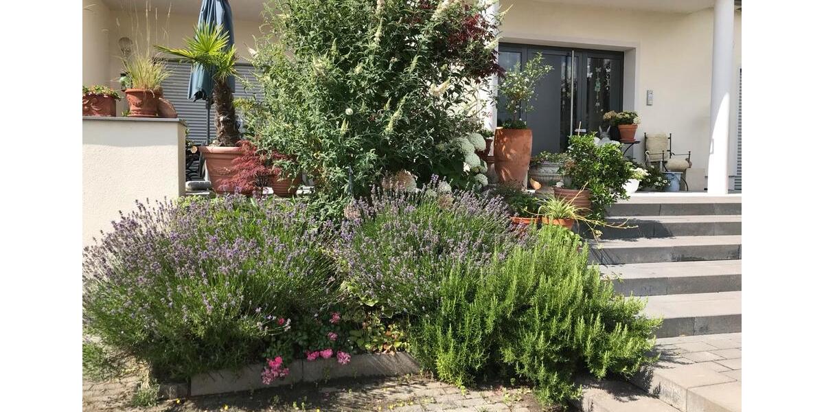 Erdgeschoßwohnung Nackenheim - 3 Zimmer, 144 m&sup2;, 795.000&euro; | Angebot:26639287