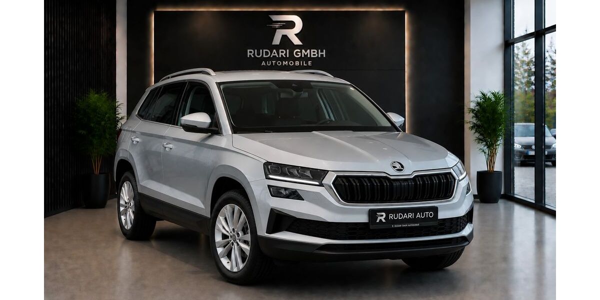 Skoda Karoq 159.575 km 17.900 &euro; Frankfurt am Main 60386