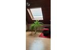 Doppelhaushälfte Pfungstadt - 475.000&euro; | Angebot:26809490