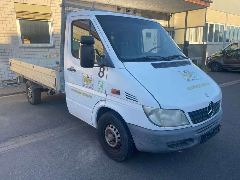Sprinter
