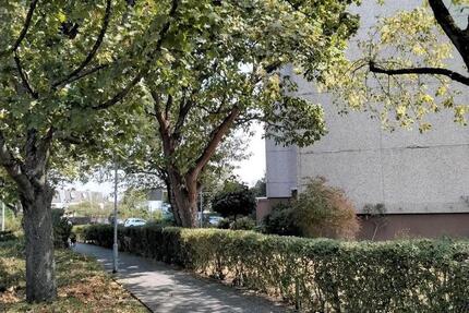Wohnung Rödermark - 2 Zimmer, 69 m&sup2;, 210.000&euro; | Angebot:27298243