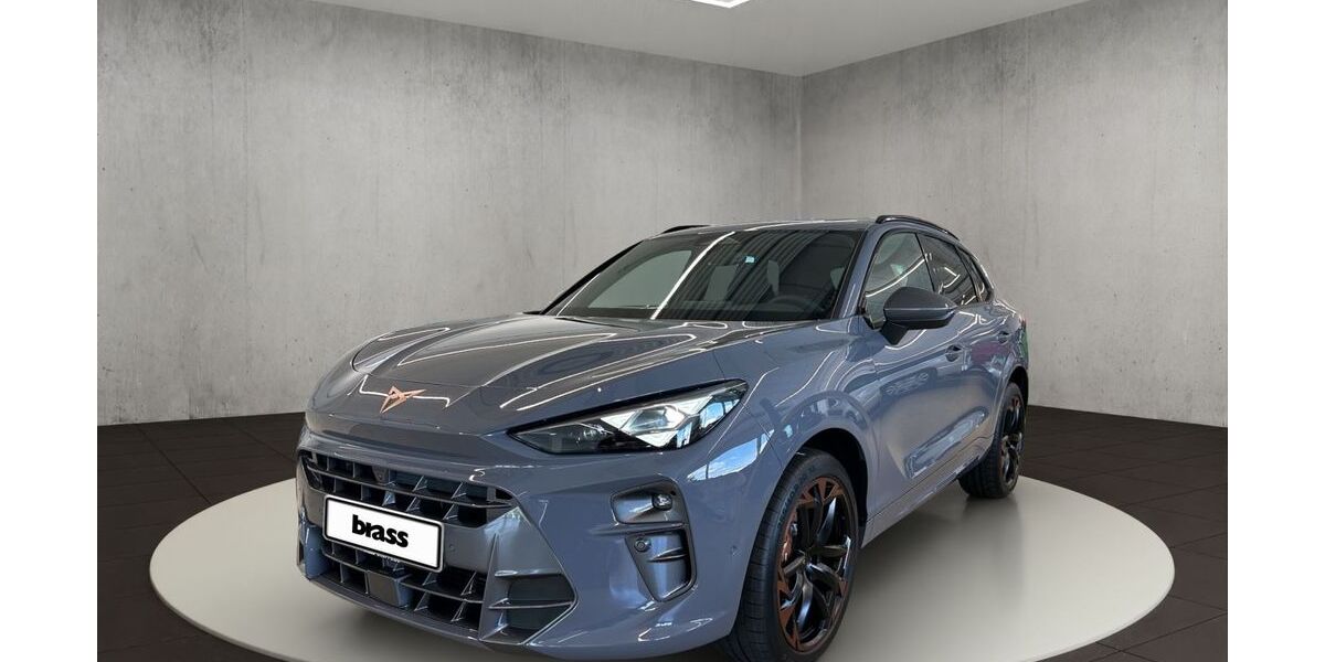 Cupra Terramar 9.999 km 47.950 € Darmstadt 64293