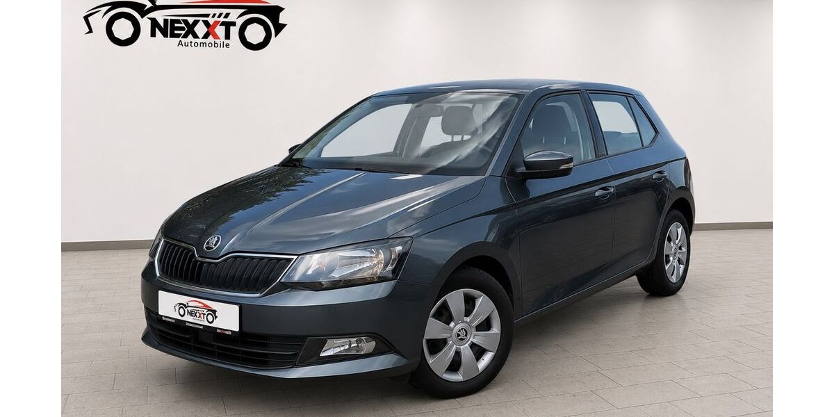 Skoda Fabia 95.000 km 9.900 &euro; Flörsheim 65439