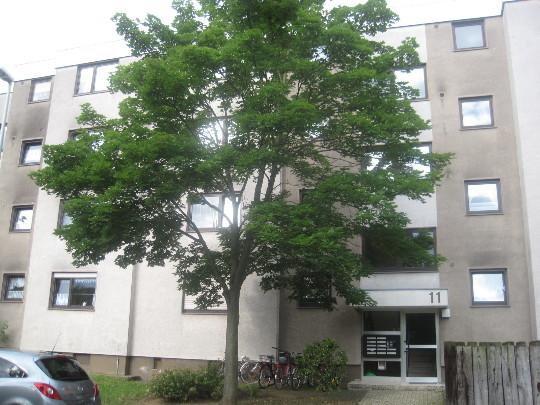 Ansprechendes, individuelles 1-Zimmer-Appartment 1 zimmer