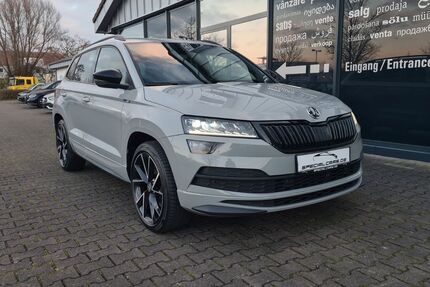 Skoda Karoq 139.850 km 21.490 &euro; Offenbach am Main 63069