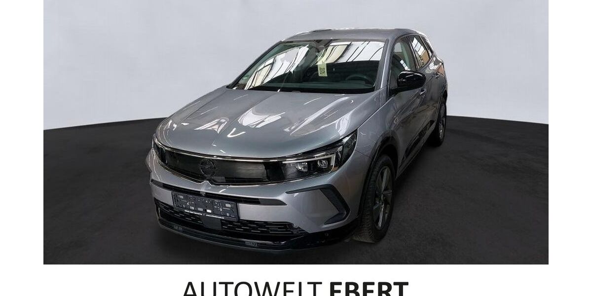 Opel Grandland (X) 21.500 km 21.890 &euro; Bensheim 64625