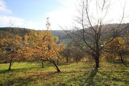 Grundstück Breuberg - 195.000&euro; | Angebot:25273923