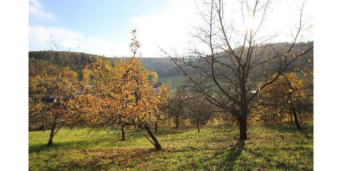 Grundstück Breuberg - 195.000&euro; | Angebot:25273923