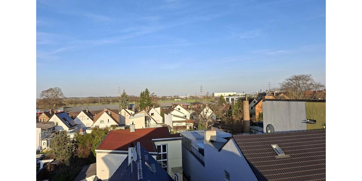 Dachgeschoßwohnung Bischofsheim - 1 Zimmer, 42 m&sup2;, 490&euro; | Angebot:25569028