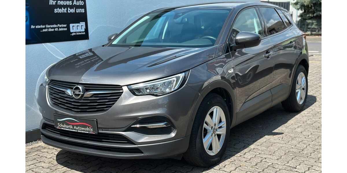Opel Grandland (X) 125.000 km 14.880 &euro; Mainhausen 63533