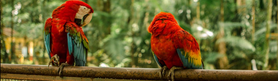 Opel-Zoo als Familienziel