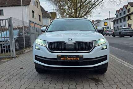 Skoda Kodiaq 230.000 km 17.200 &euro; Offenbach 63071