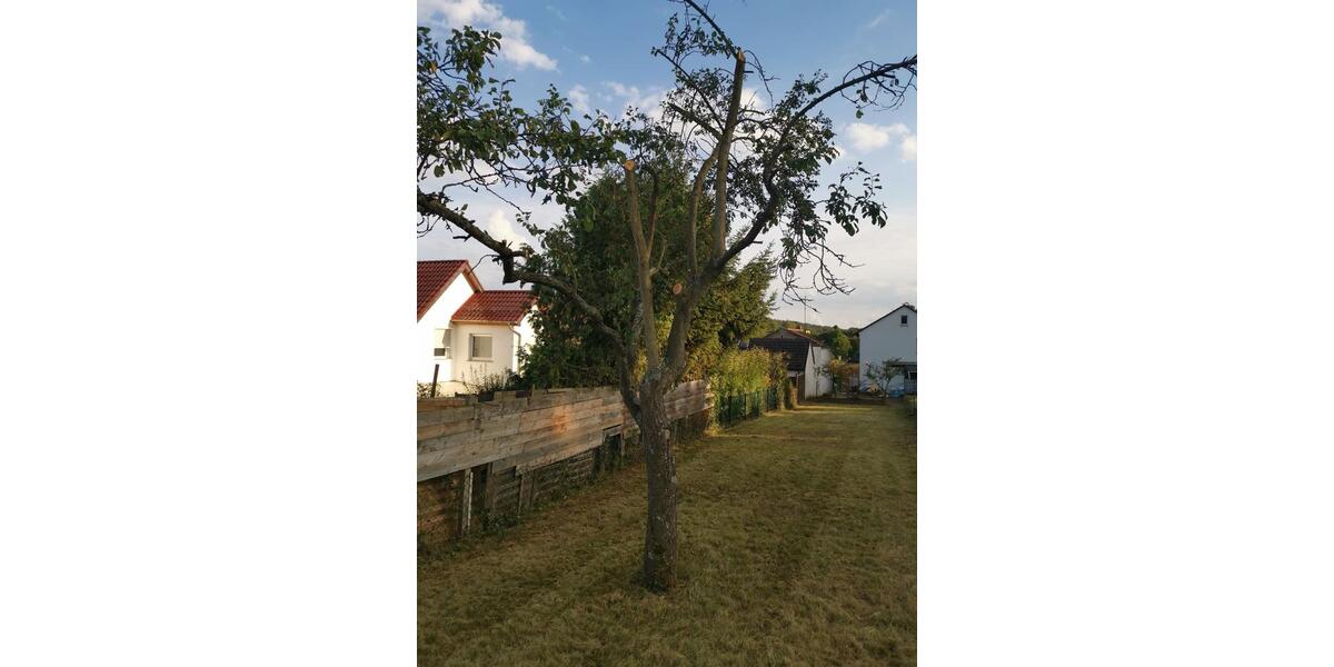 Mehrfamilienhaus, Wohnhaus Ober-Ramstadt Ramstadt - 6 Zimmer, 145 m&sup2;, 575.000&euro; | Angebot:27021933