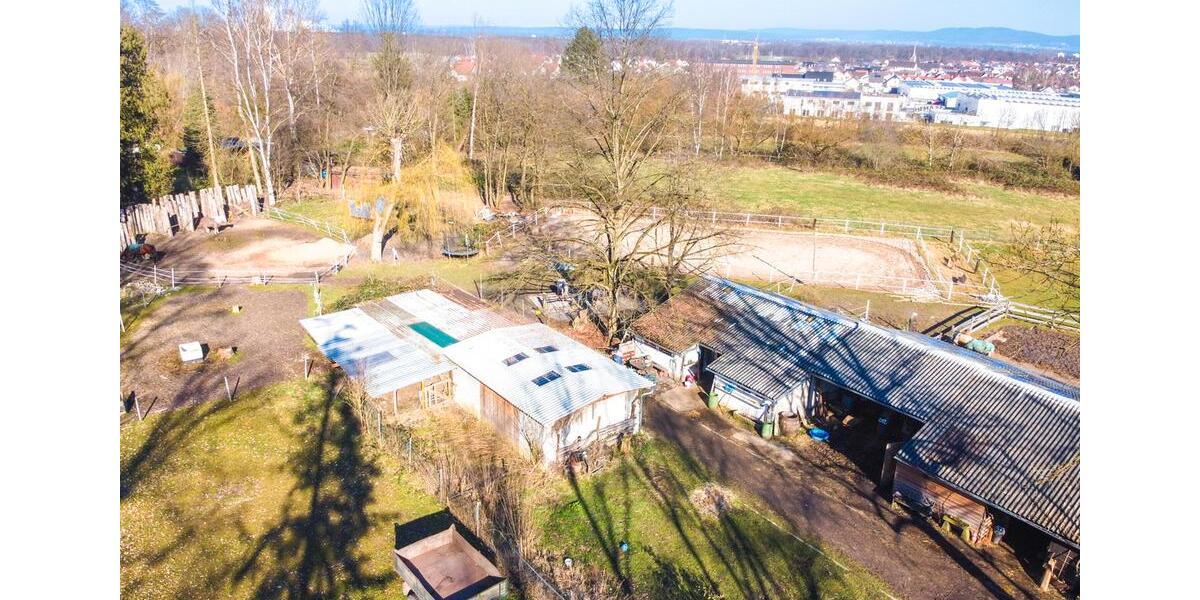 Gewerbeobjekt Seligenstadt - 1.300&euro; | Angebot:25431487