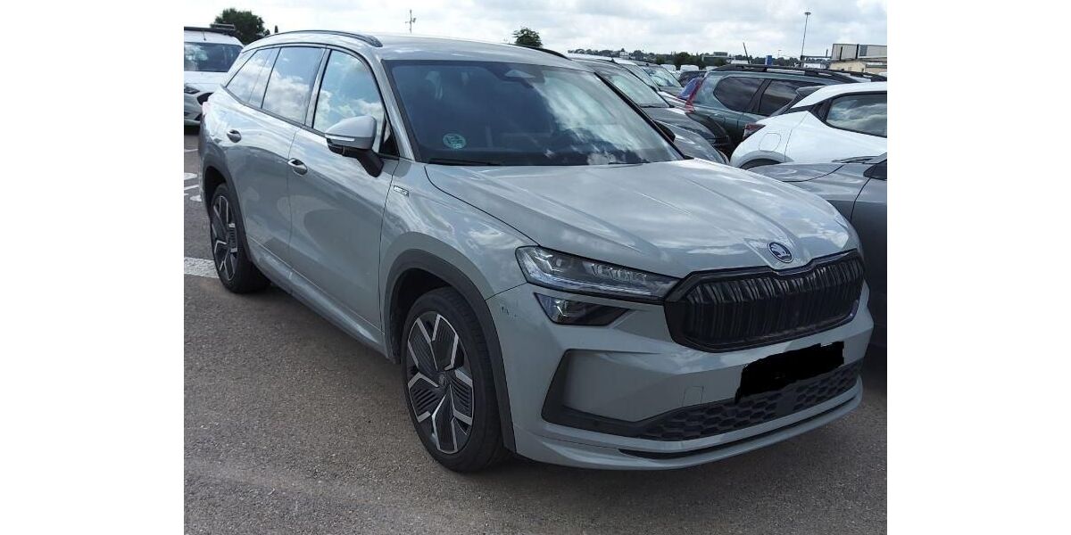 Skoda Kodiaq 34.169 km 39.680 &euro; Rüsselsheim 65428
