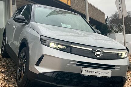 Opel Grandland (X) 1.505 km 36.500 € Bürstadt 68642