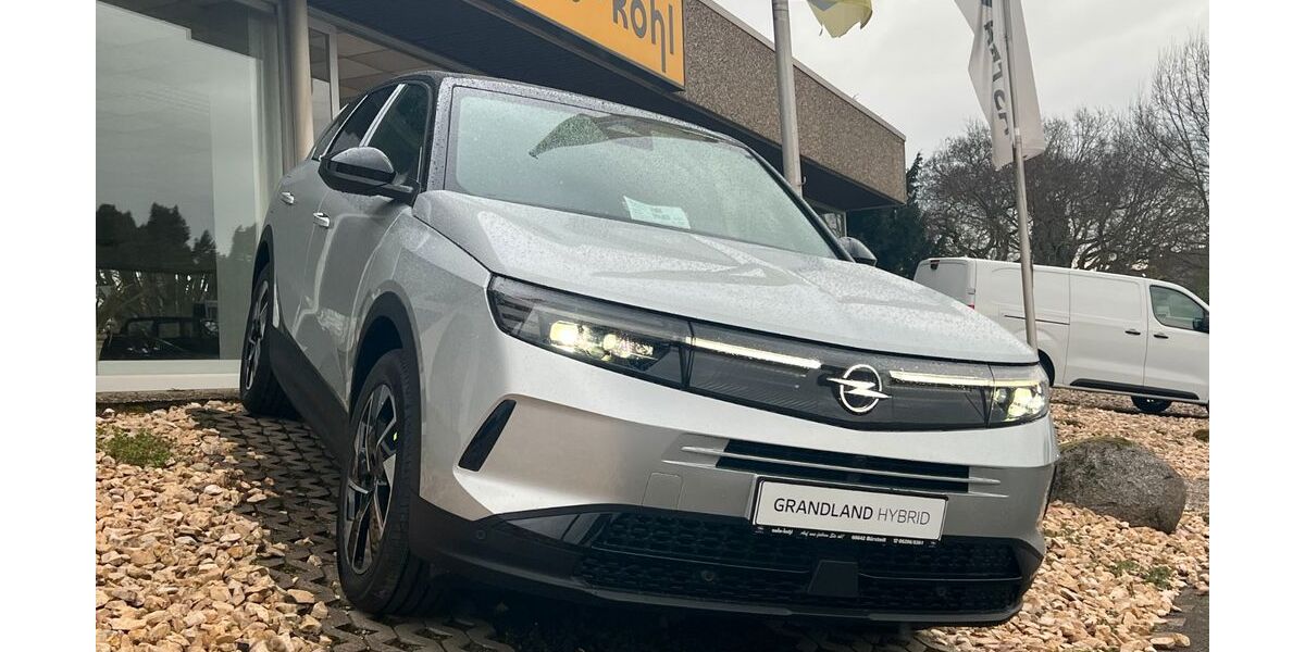 Opel Grandland (X) 1.505 km 36.500 &euro; Bürstadt 68642