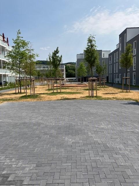 Helle, großzügige 4-Zimmer-Wohnung in Heppenheimer Neubaugebiet zimmer