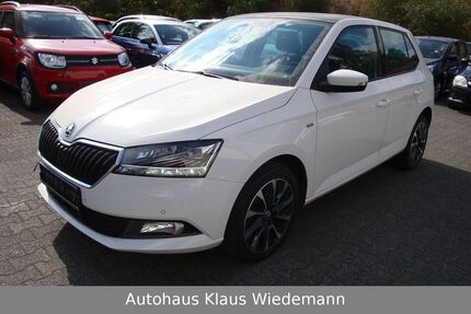 Skoda Fabia 35.600 km 14.499 &euro; Lorsch 64653