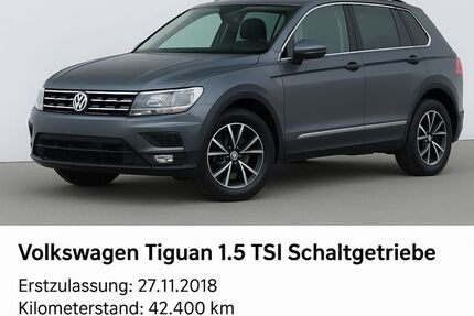VW Tiguan 42.400 km 19.990 € Weiterstadt 64331