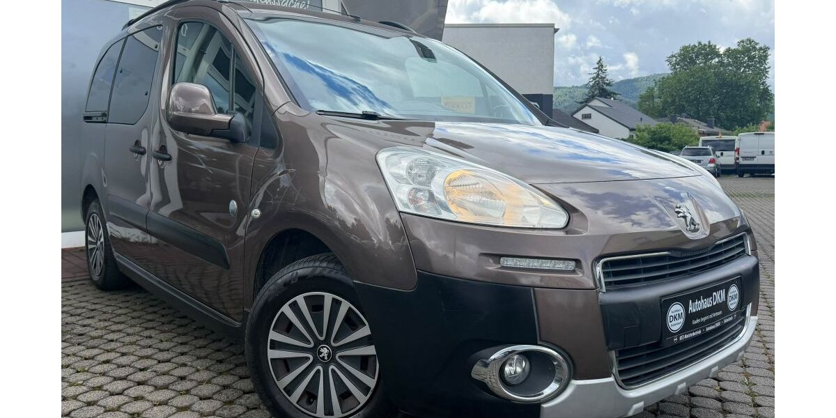 Peugeot Partner 159.980 km 6.799 &euro; Bickenbach 64404