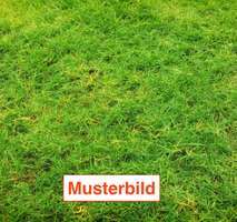 Grundstück zu verkaufen in Frankfurt 999.000 € 908 m² zimmer