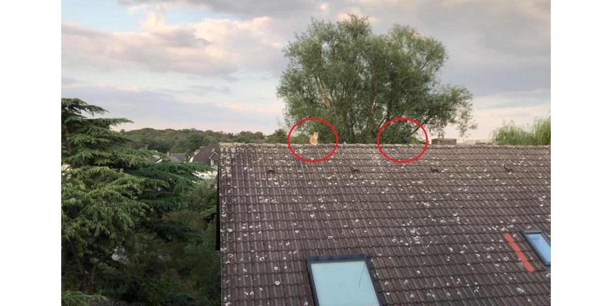 Dachgeschoßwohnung Rüsselsheim am Main - 2 Zimmer, 62 m&sup2;, 234.000&euro; | Angebot:17453221