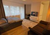 Wohnung zum Mieten in Frankfurt am Main 1.250 € 31 m²