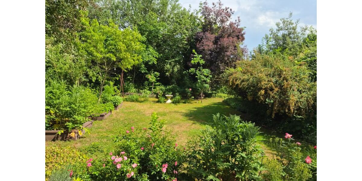 Provisionsfrei* Freistehendes EFH in Nauheim mit idyllischem nicht einsehbarem Garten und Garage - sofort bezugsfertig! - Einfamilienhaus Nauheim | Angebot:27145799