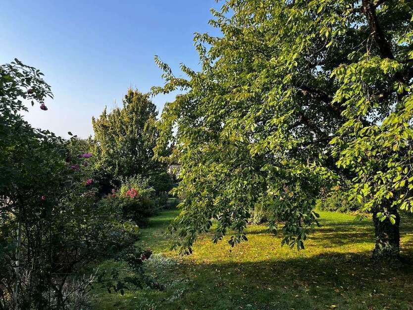 Haus zum Kaufen in Hofheim am Taunus 1.590.000 € 450 m²
