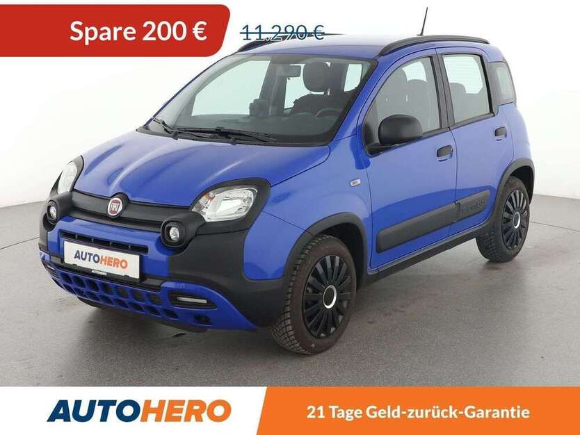 Panda