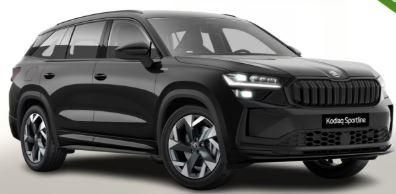 Skoda Kodiaq 33.288 km 40.480 &euro; Rüsselsheim 65428