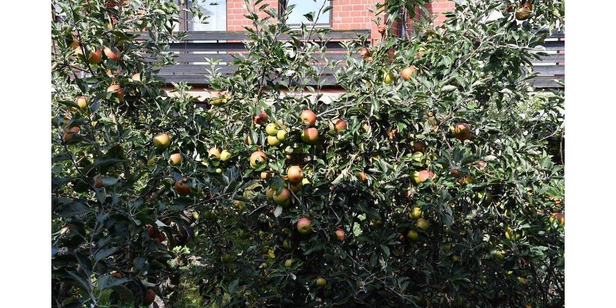 Einfamilienhaus Dieburg - 6 Zimmer, 176 m&sup2;, 1.950&euro; | Angebot:25628063