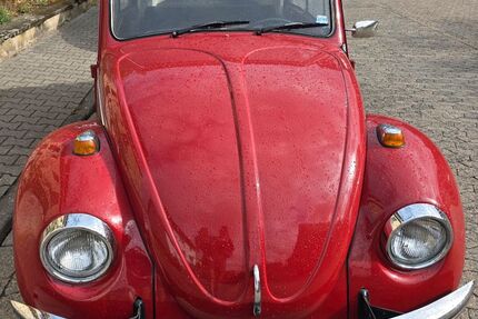 VW Beetle 2.500 km 24.500 &euro; Darmstadt 64297