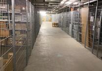 Zentrale Lager- und Archivfläche in Darmstadt