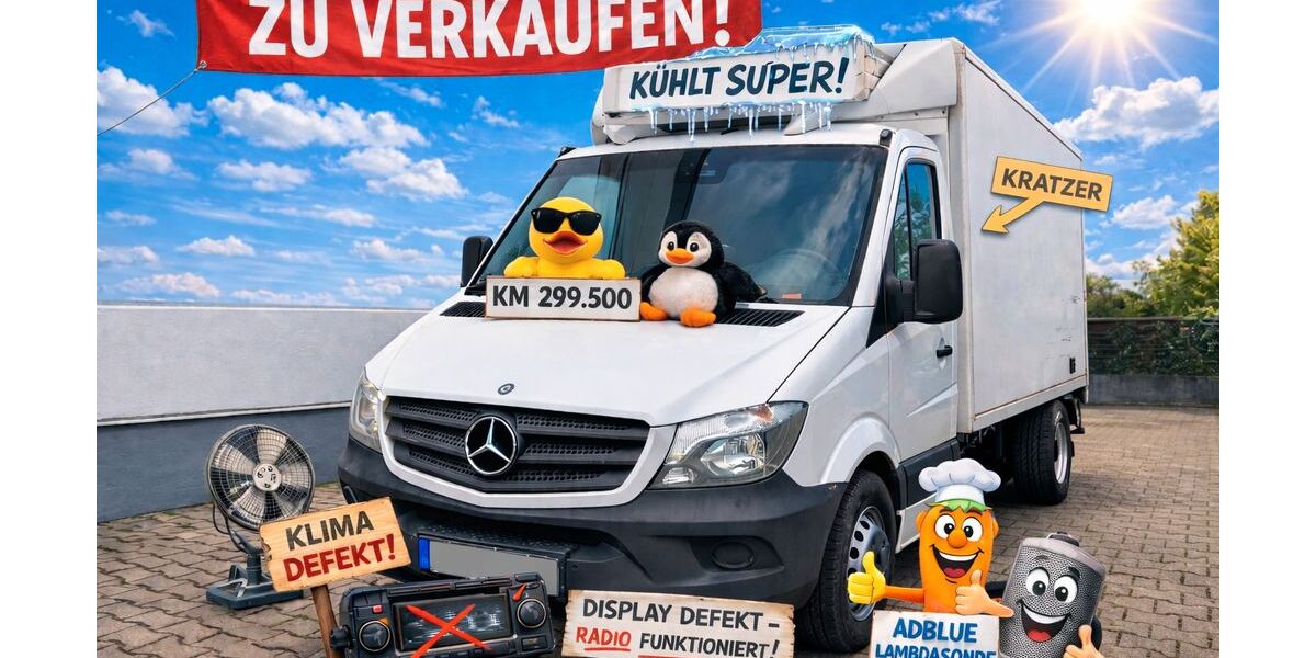 Mercedes-Benz Sprinter 299.500 km 15.900 &euro; Flörsheim 65439