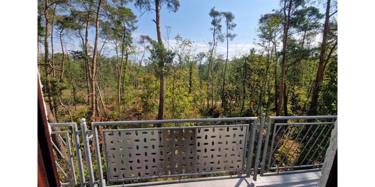 Schöne DG-Wohnung, 76m2 mit Balkon in 3 Familienhaus zu vermieten 3 zimmer