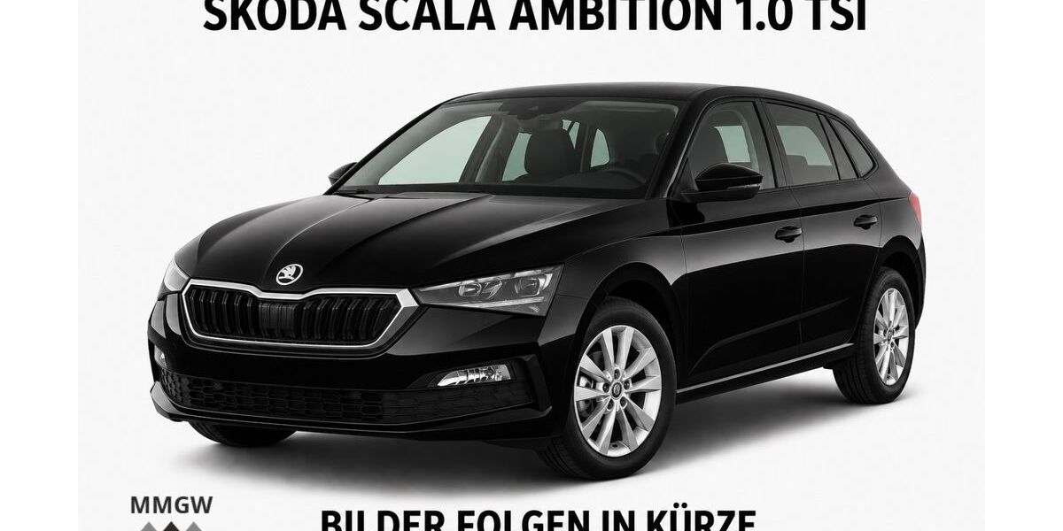 Skoda Scala 73.829 km 16.490 &euro; Bensheim 64625