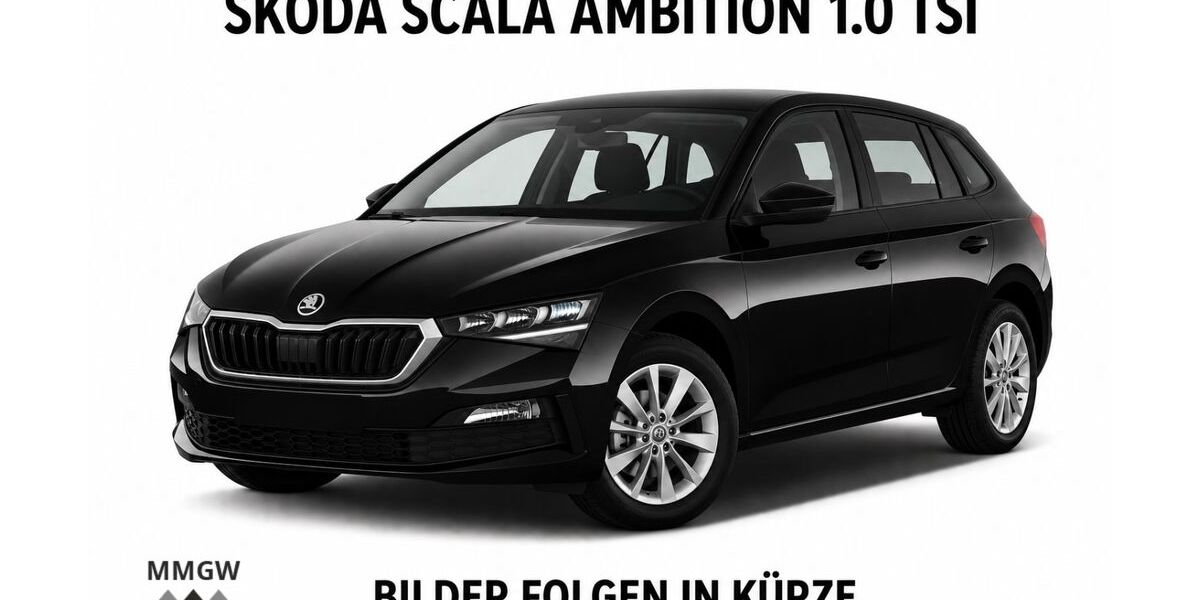 Skoda Scala 82.150 km 16.490 &euro; Bensheim 64625
