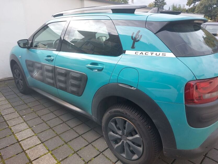 C4 Cactus