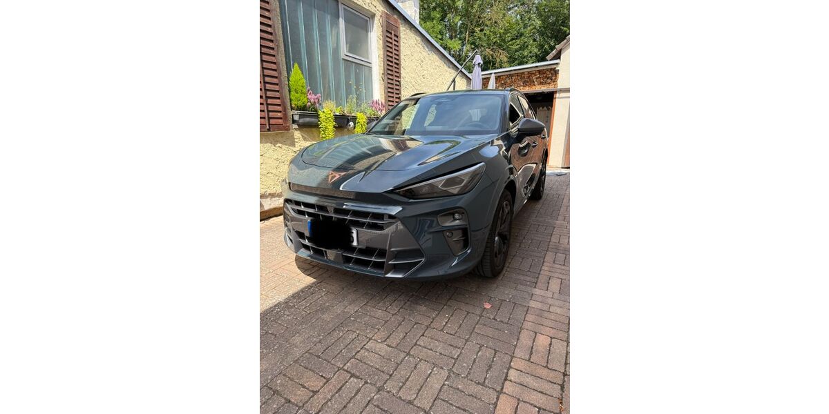 Cupra Terramar 17.900 km 39.999 &euro; Reinheim 64354