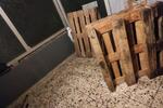Erdgeschoßwohnung Bürstadt - 4 Zimmer, 100 m&sup2;, 1.500&euro; | Angebot:25648823