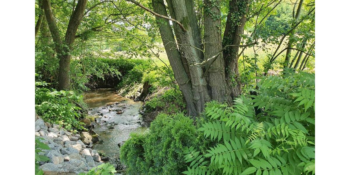 Mehrfamilienhaus, Wohnhaus Bad König - 850.000&euro; | Angebot:27015833