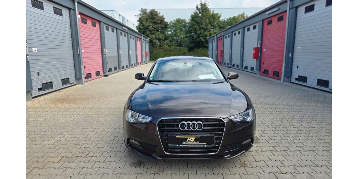 Audi A5 250.000 km 9.999 &euro; Groß Gerau 64521