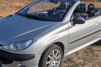 Peugeot 206 65.000 km 3.100 &euro; Mainhausen 63533
