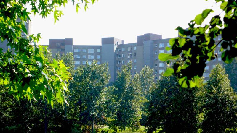 Etagenwohnung Darmstadt Kranichstein - 4 Zimmer, 80 m&sup2;, 864&euro; | Angebot:26658303
