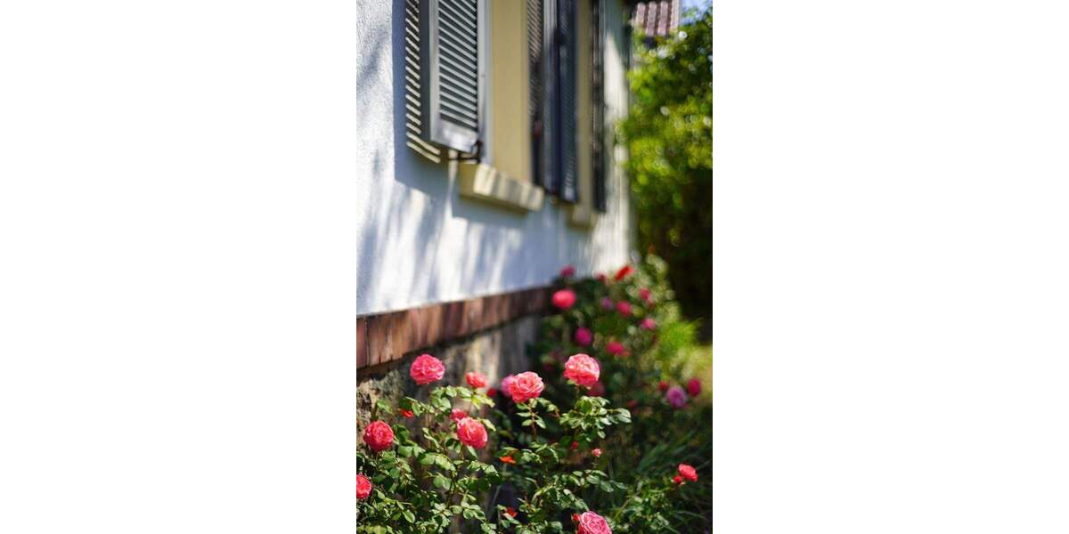 Mehrfamilienhaus, Wohnhaus Darmstadt Eberstadt - 7 Zimmer, 160 m&sup2;, 1.495.000&euro; | Angebot:23961720