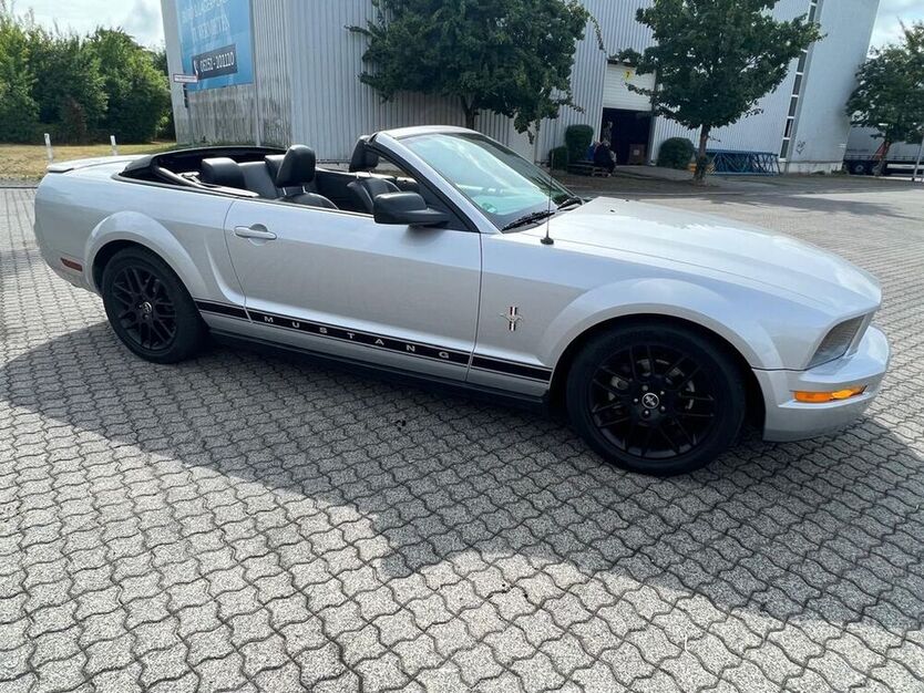 Mustang