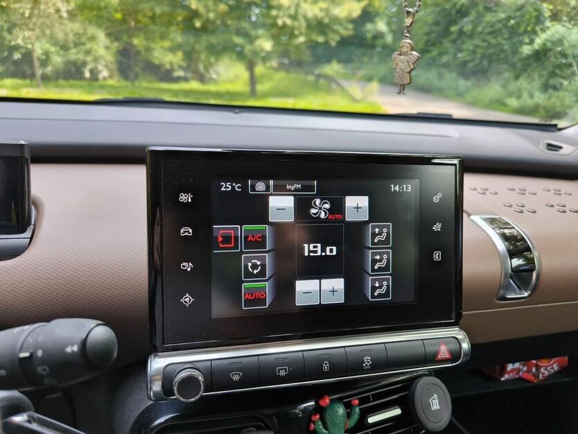 C4 Cactus